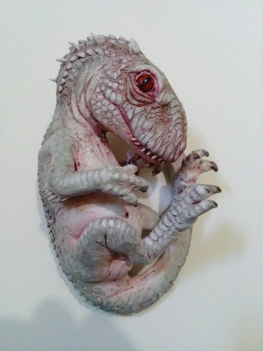 QueenOfDinos's tweet photo. When I was a baby https://t.co/ff1aEKvVdT