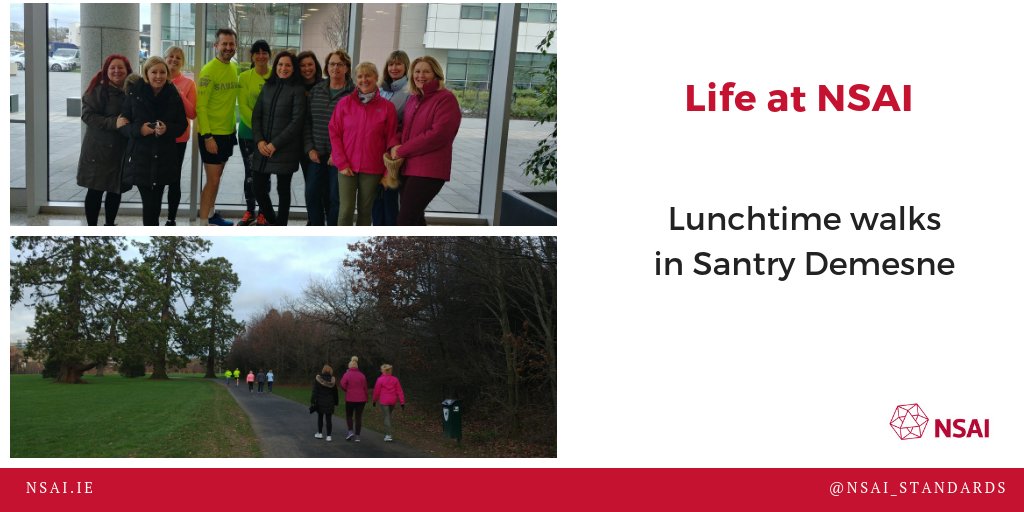 NSAI_Standards's tweet photo. Some NSAI staff started their New Year's resolutions with biweekly lunchtime walks around Santry Demesne. #LifeAtNSAI @fingalcoco @OpTranRTE https://t.co/UyPtnBozWl