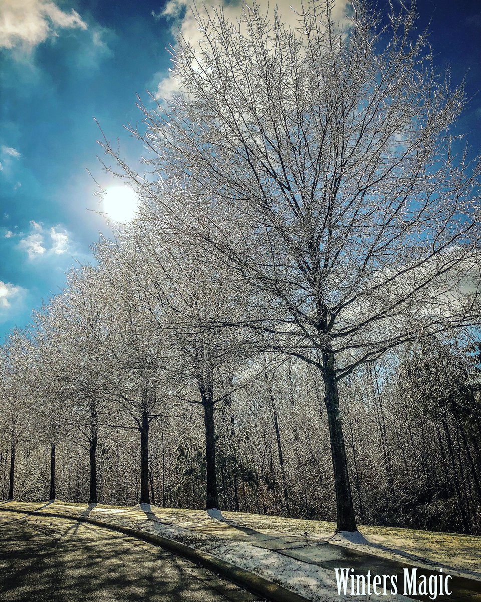 tgreene_42's tweet photo. Capturing winters moment #wintersmagic https://t.co/66YRsc9eLn