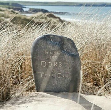 ProfesorSnape's tweet photo. Dobby en 2009 / Dobby en 2019. https://t.co/HoRH0Ue8wd
