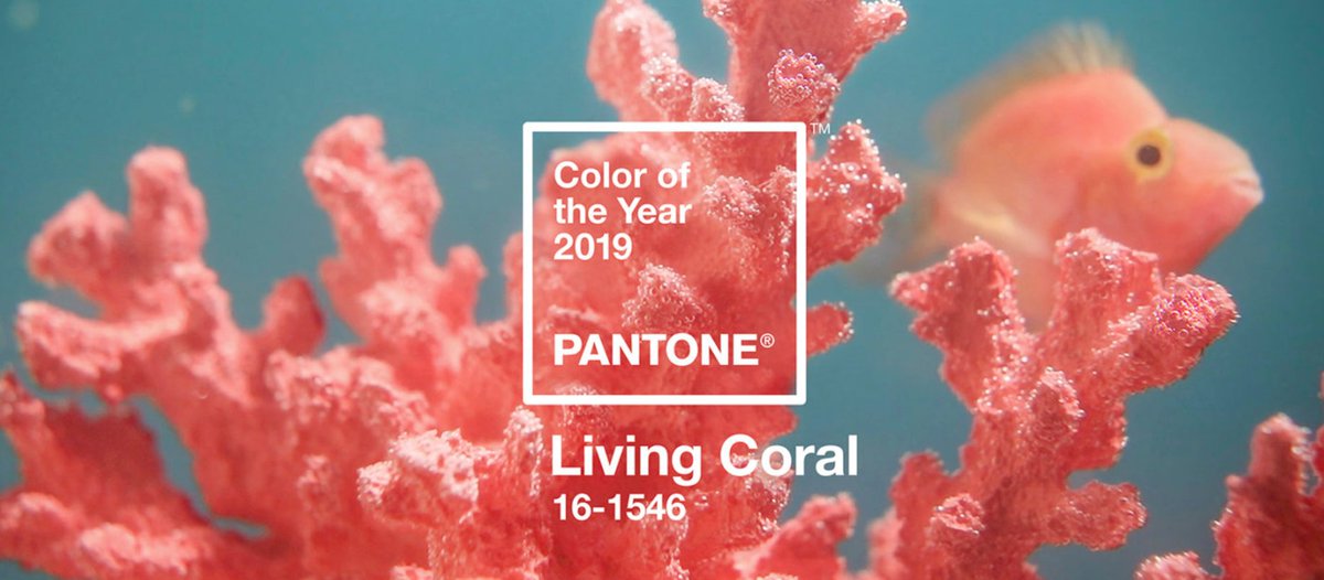 SpyDesignInc's tweet photo. Adobe says this is the colour of the year. Who agrees? Who disagrees?
https://t.co/DDqxfhZLwT https://t.co/0jEFOapQFn
