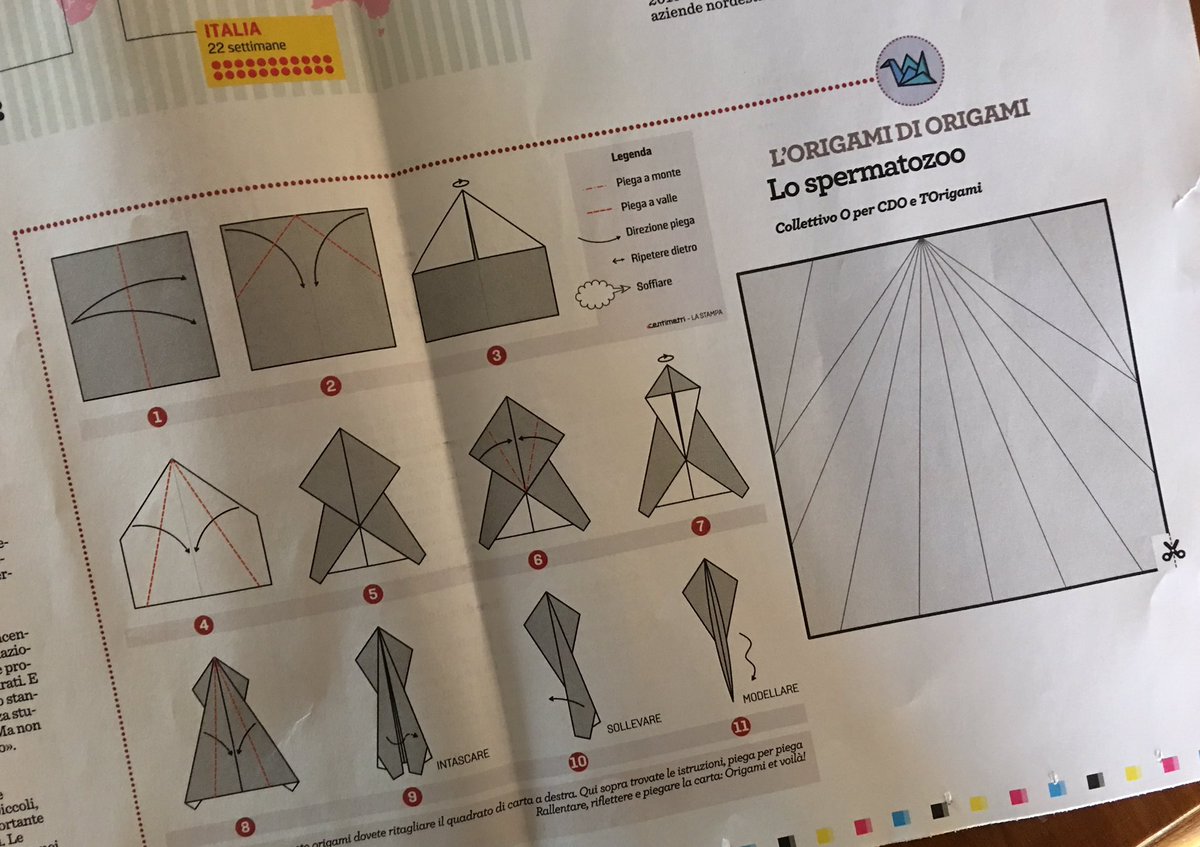 twitTOrigami's tweet photo. Lo spermatozoo... simbolo di paternità oggi in edicola con @OrigamiTwitta de @LaStampa - Modello di Collettivo O per @OrigamiCDO e TOrigami
#origamitorino
#origamisettimanale
#paternita
#origamiCDO
#spermatozoo
#torigami https://t.co/otyMLijyy1
