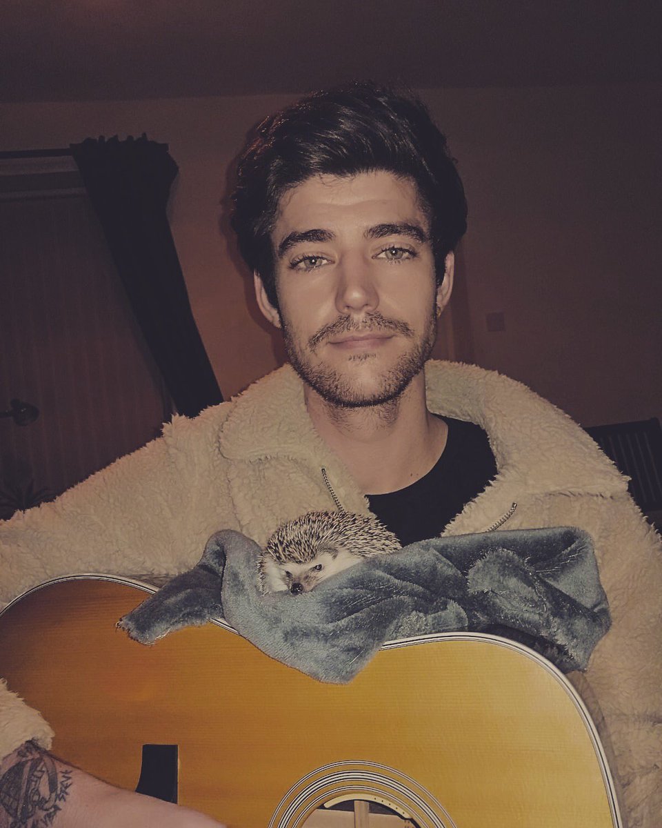 More guitar lessons for this one today. #hedgehog #guitar