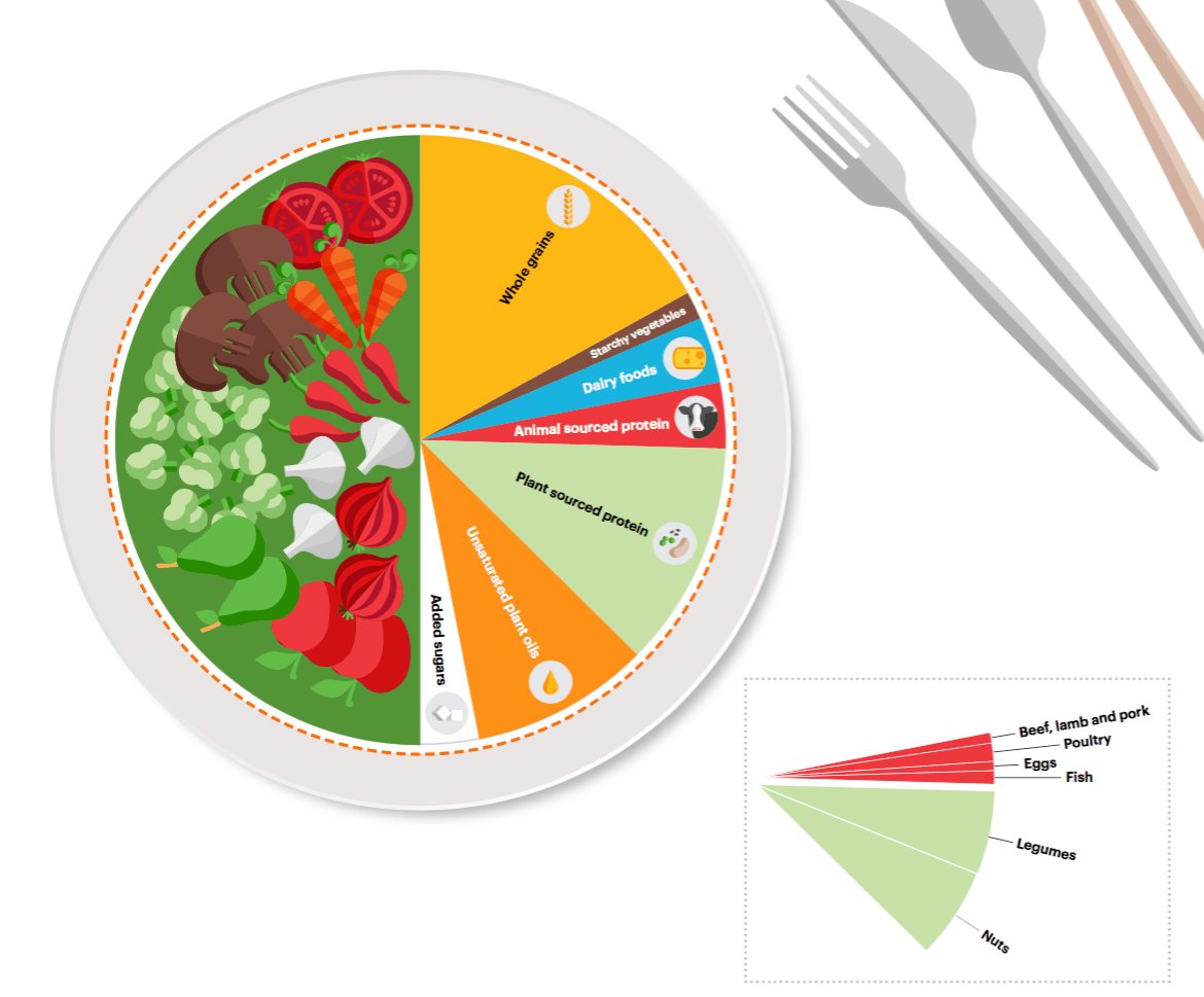 A healthy plate for the planet should be filled with fruits and vegetables, while the other half should consist of primarily whole grains and plant-based protein foods, with unsaturated oils and modest amounts of animal-based protein foods harvardhealth.me/2dfbb #EATLancet