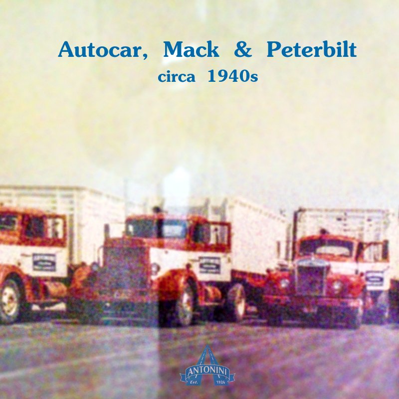 AntoniniFreight's tweet photo. #TBT circa 1940s Autocar, Mack & Peterbilt trucks to haul plants to the market. Providing premier service for 93 years. #agriculture #agproven #history #stockton #lathrop #tracytriangle #california #localloads #localroads #premierservice #antoninifreight https://t.co/Ypz3KQuHcB