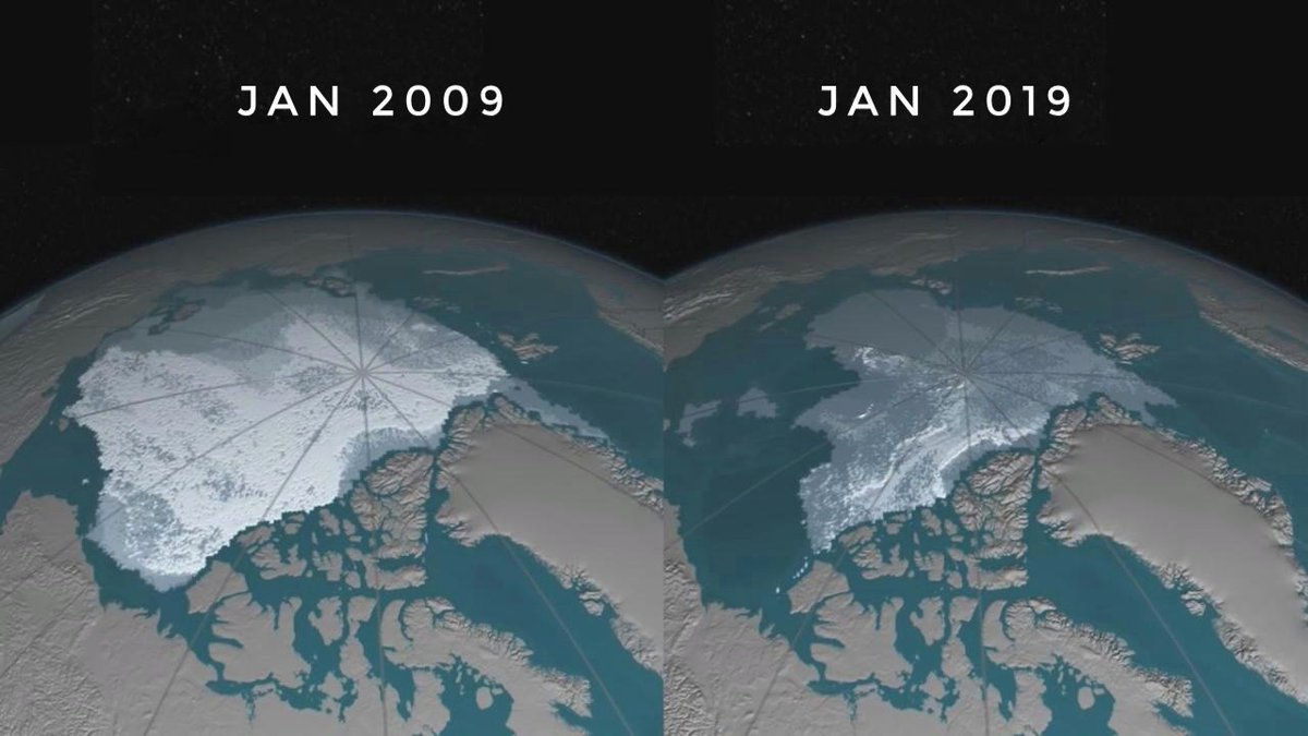 Die einzige #10yearchallenge die wir ernst nehmen sollten. 

#safetheplanet