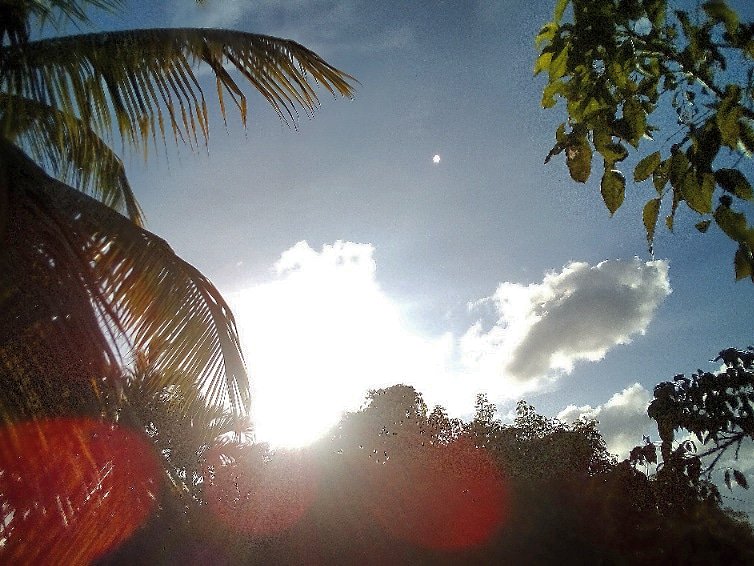 @JorgeG179 #Miami #Sky #Sunshine #Clouds #Palmtrees #photo #photodaily #phototoday #photoftheday #photograph #photographer #photography #photoofday #photooftheweek #photos #photosession #photostudio #skyphotography #sunrays #sunflares #lensflare #SunshineOneMorning #riseandshine