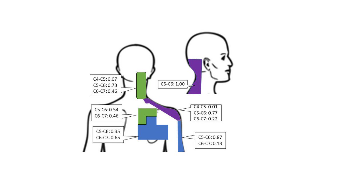 ✍ Más relación cervical-hombro. Ejemplos del dolor referido articular cervical al hombro dibujado por pacientes (1ª foto) y probabilidad de los segmentos indicados de ser la causa del dolor de las áreas dibujadas (2ª foto). Adaptado de Cooper et al., 2007.
