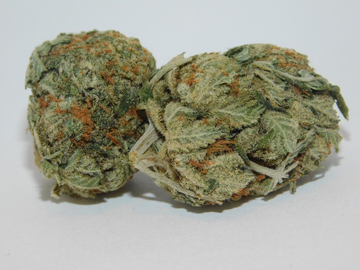 dispensarygta's tweet photo. Looking for a great high? 😉 King Louis XIII from @greensocietyca has us royally ripped 👑 https://t.co/NbWGwFlLaM
#marijuanalegalization #canada #marijuana https://t.co/BHzTbwZuk5