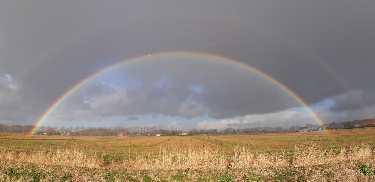 UdoPrins's tweet photo. Mooie luchten, dubbele regenboog tijdens veldbezoek afgelopen maandag in #BuijtenlandvanRhoon. Met veel kiemers (korenbloem, klaproos en gele ganzenbloem) tussen de emmertarwe op flora-akker belooft het een bloemrijk jaar te worden! https://t.co/MGee83Ytcc