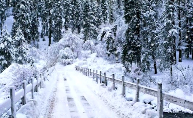 Form_45's tweet photo. Thar Parkar in winters @BakhtawarBZ 😍 https://t.co/5MNjWxDPVx