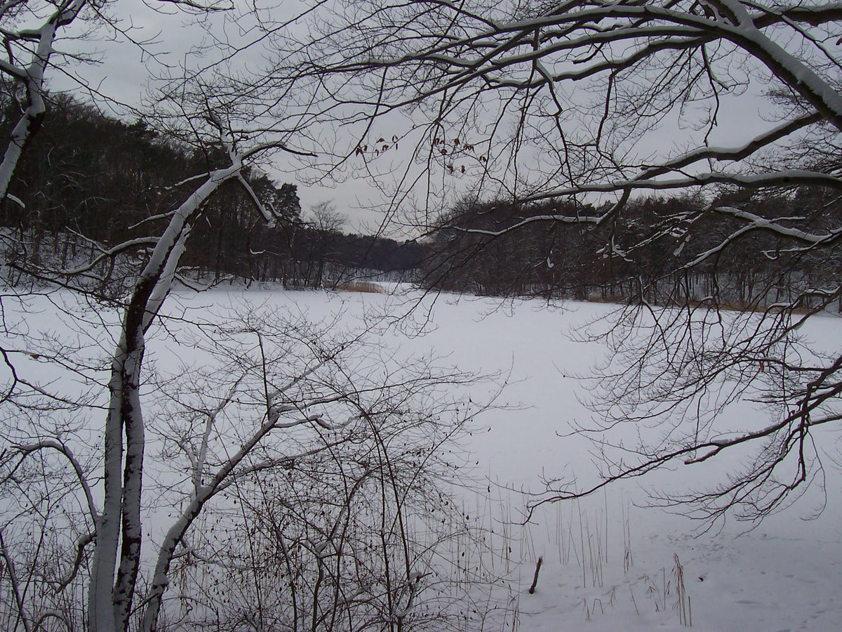 MarmotteWanderreisen on Twitter "Tageswanderung Von Lobetal zum Hellsee und nach Lanke (Barnim