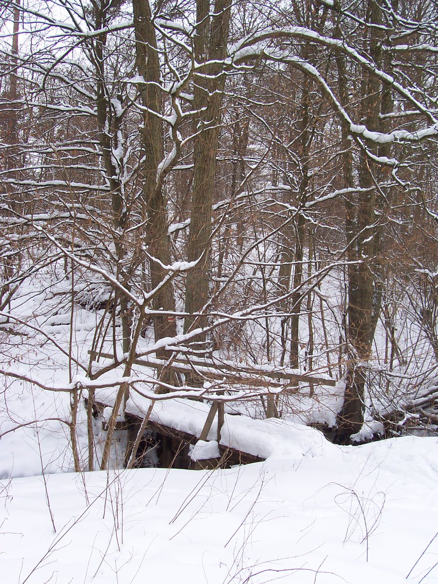 MarmotteWanderreisen on Twitter "Tageswanderung Von Lobetal zum Hellsee und nach Lanke (Barnim