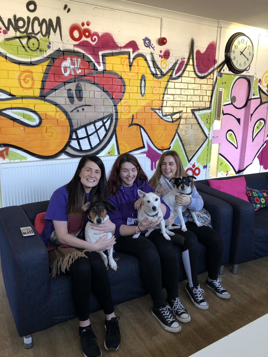 ysortit's tweet photo. A welcomed wee cuddle break with our fur kids πΆWoody πΆBell πΆ Mia all rescued & rehomed from our local @ScottishSPCA at Milton with @GillianYsortit family π #DogDay #OfficeGoals #puppylove π @LyndseyYsi @emilyysortit @RachelYsortit @JayYSortit1 #YSIFamily https://t.co/EkuIYds3lx