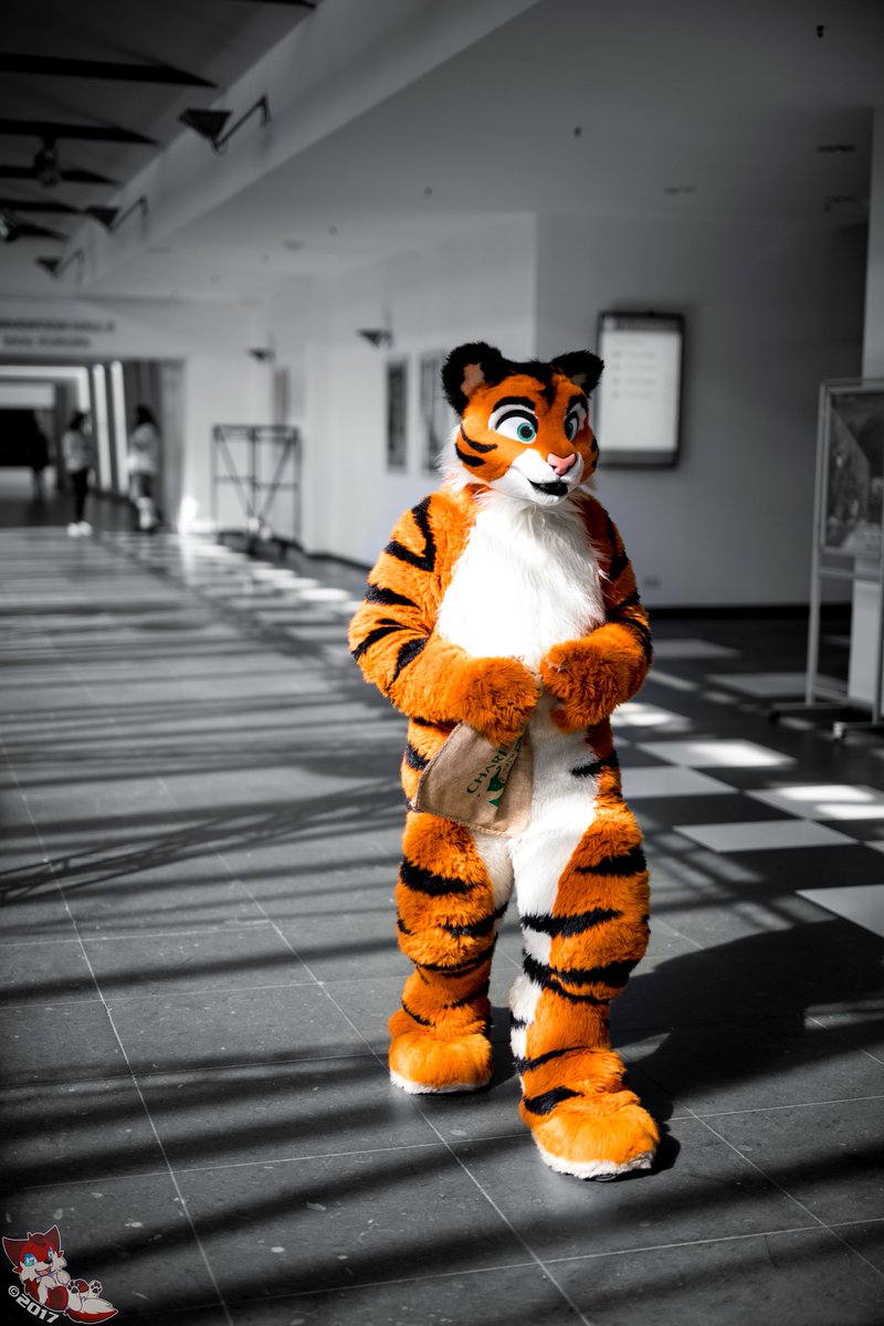 The first photo to start off my photography only account features a tiger!
Fursuiter: <a href="/Mstr_f_Dstrctn/">Mstr f Dstrctn</a>
Fursuit by: <a href="/FursuitsByLacy/">Fursuits By Lacy</a> 
Con: Eurofurence 23