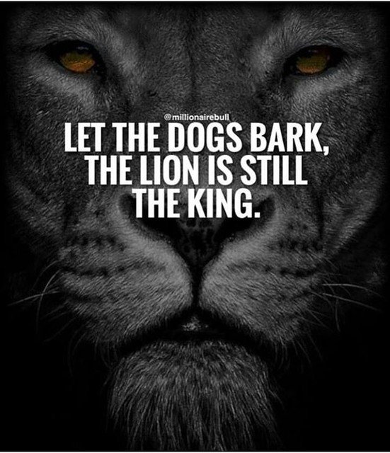 توییتر \ Theammaturesquote در توییتر: "Be A Lion! @Millionairebull #Theammaturesquote #Motivation #Success #Quotes #Quote #Inspiration Https://T.co/0Z19Byqicw"