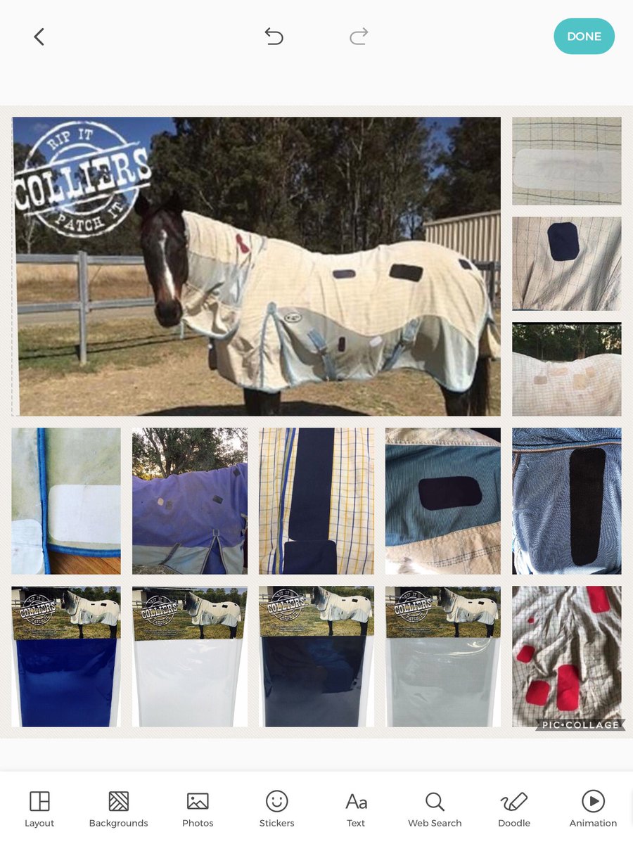 ripitpatchit's tweet image. Horse Rug\Blanket Repair Patches!
#ShaniaTwain #horserug #horsesofinstagram #horsetack #horsesoftheworld #savemoney