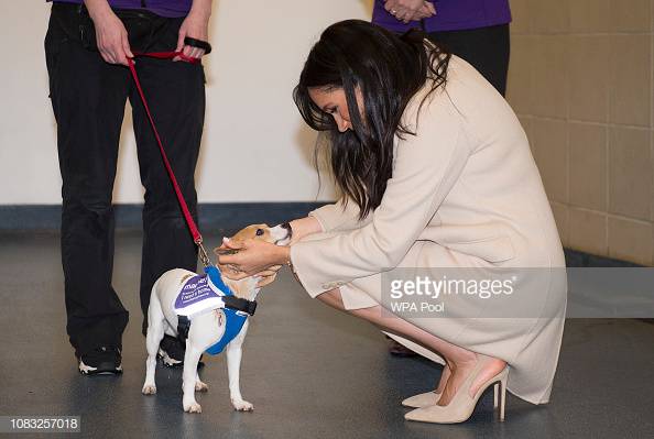 Wearing an #Emporio @Armani coat, The #DuchessofSussex met "Minnie" 🐾a 1-year-old #JackRussell 🐶 #dog during her first official visit as Patron to @TheMayhew. The #charity works to improve the lives of cats & #dogs in our communities.
#RoyalFamily #TheMayhew #KensalRise