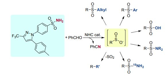 Check out the latest method from <a href="/PatrickFier/">Patrick Fier</a> and <a href="/DrKevinMaloney/">Kevin Maloney</a> at #MerckChemistry that enables primary sulfonamides to be used as versatile synthetic handles for late-stage functionalization. acspubs.co/6gc930nm2R1