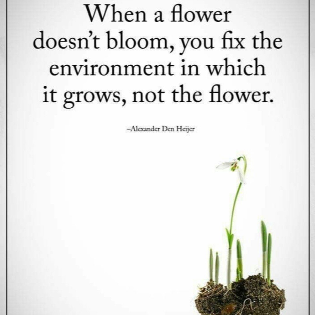 abaexamprep's tweet photo. #bcba #aba #bcbaexam #bcbaexamprep #abaquotes #bcbaquotes #behavioralanalysis #abamemes #behaviortherapist https://t.co/B7K5rjDrnv