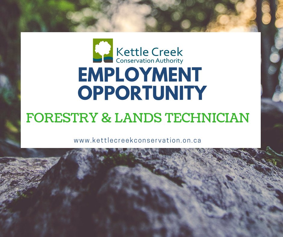 KCCA is seeking a Forestry and Lands  Technician to support the development of the Authority’s invasive  species, tree planting, forestry and stewardship programs. For a complete job description visit: bit.ly/WorkAtKettle #StOnt #ConservationJobs