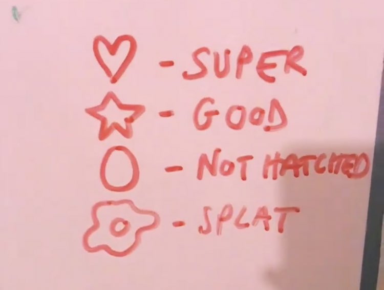 Fickle Friends 🌴 tweet media