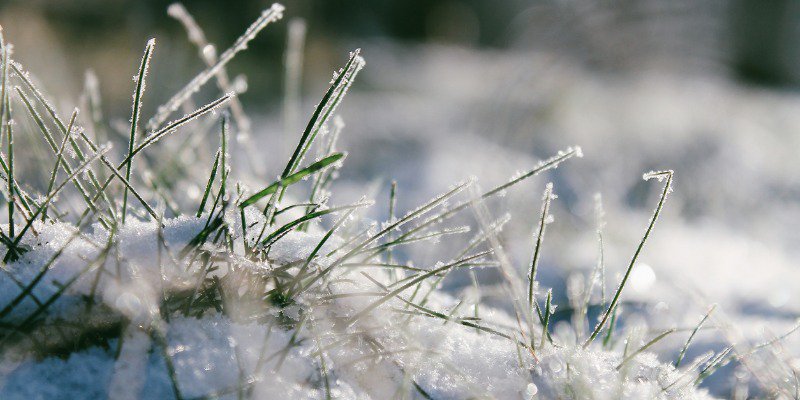 There are many challenges your landscape will face this winter. Protect your garden with these tips. 

bit.ly/2HgQ6cj