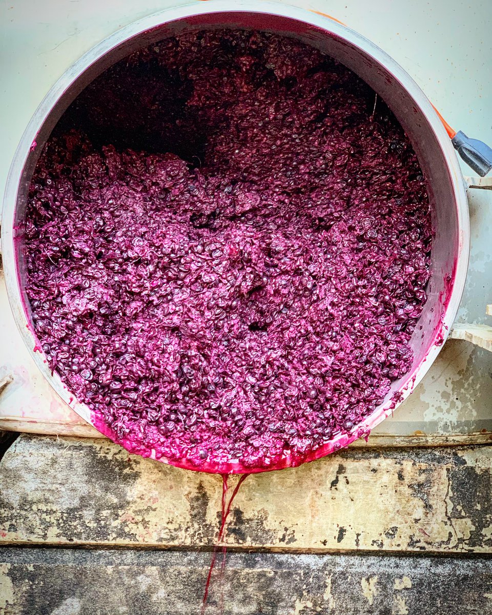 Well hello Twitter-verse, I left you for a while, but now I’m back! Let’s catch you up on where I’ve been shall we? 😬