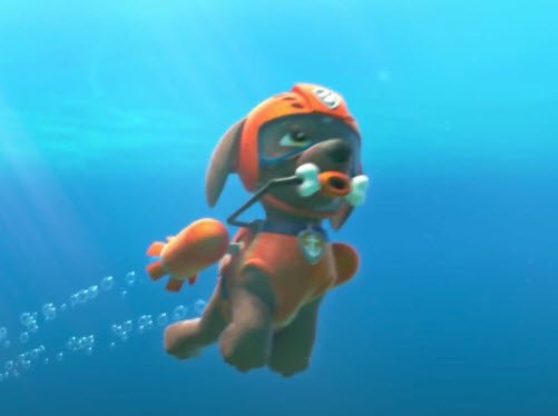 טוויטר \ Paw Patrol Critic בטוויטר: "As the #GovernmentShutdown entered its 27th day, Zuma to giving scuba lessons to tourists to make ends meet. #EndTheShutdown #PawPatrol https://t.co/BzeRlY2hdm"