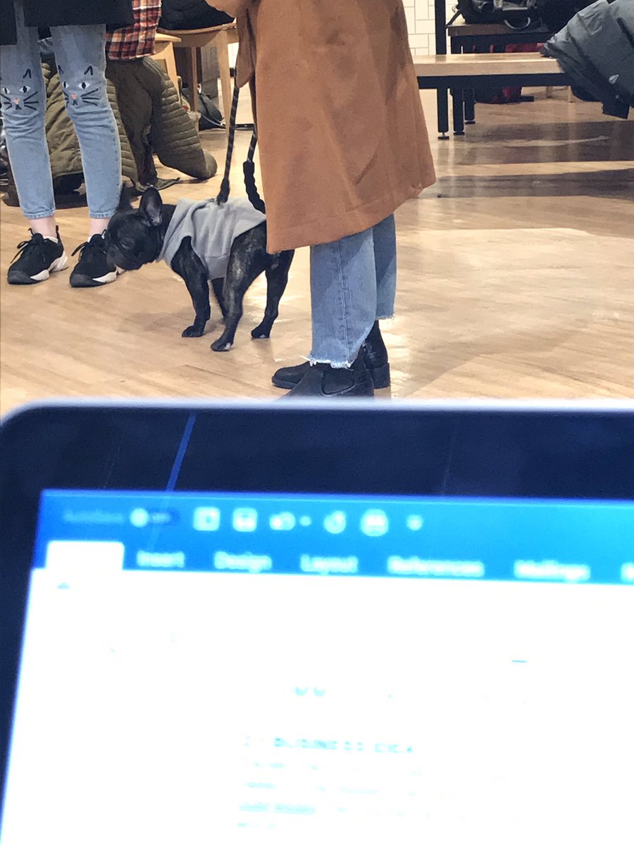 LisaMariaN91's tweet photo. Working in cafes and meeting new #dogs. Makes embarking on proposal writing a little less ruff. #punsintended #spotthepuns #pawsforlaughs https://t.co/9RTjz6LwjP