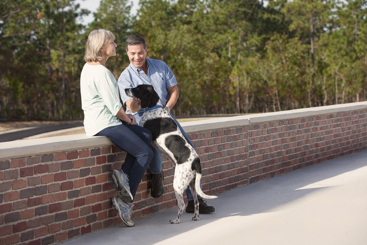 riverlightsnc's tweet photo. Don't leave your furry friends at home! They're always welcome here in #RiverLightsNC. 🐶 https://t.co/vV8NsLZtAu