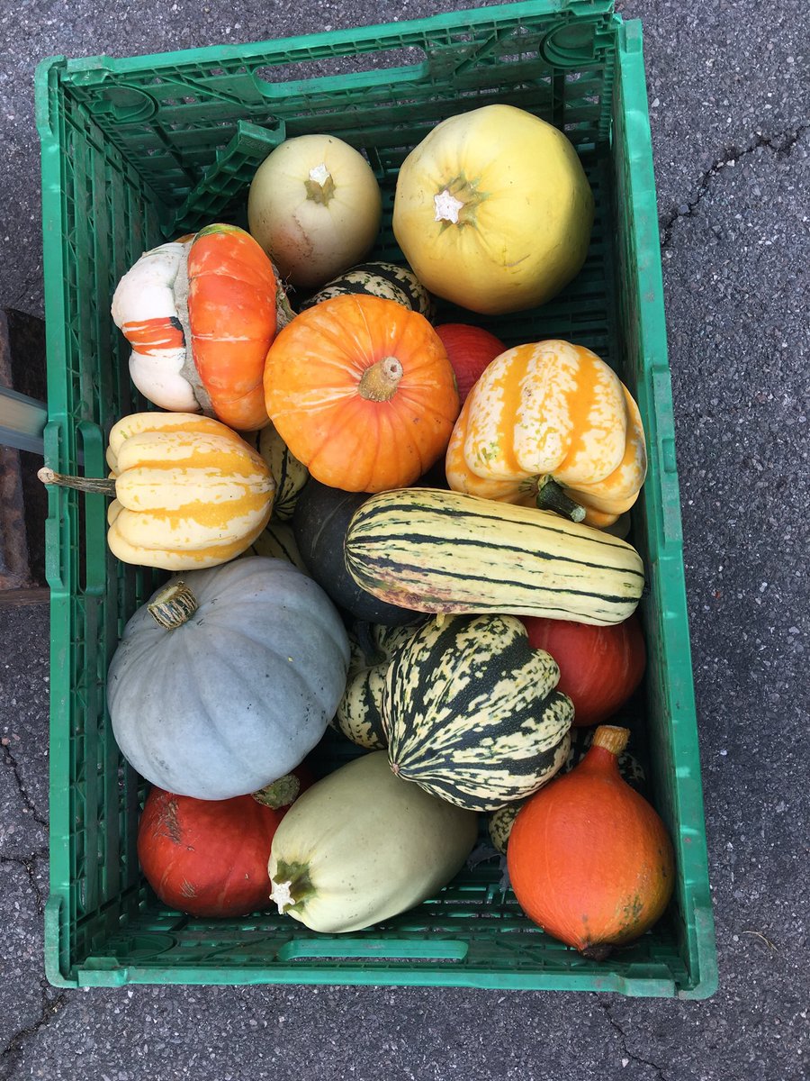 Powderham Food Fest tweet media