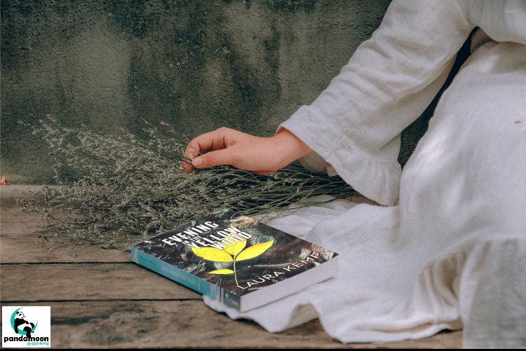 LKempWrites's tweet photo. It’s cold outside so why not #warmup with my #debut #newadult #novel- on #SALE NOW on #Amazon 📚⚡️ and set in lovely #presqueisle #michigan 🌲#tbr #ThursdayThought #romance #KindleUnlimited #booklovers ❤️📚#eveningintheyellowwood🍁 #michiganbooks #mittenpride https://t.co/FpBwMemgno