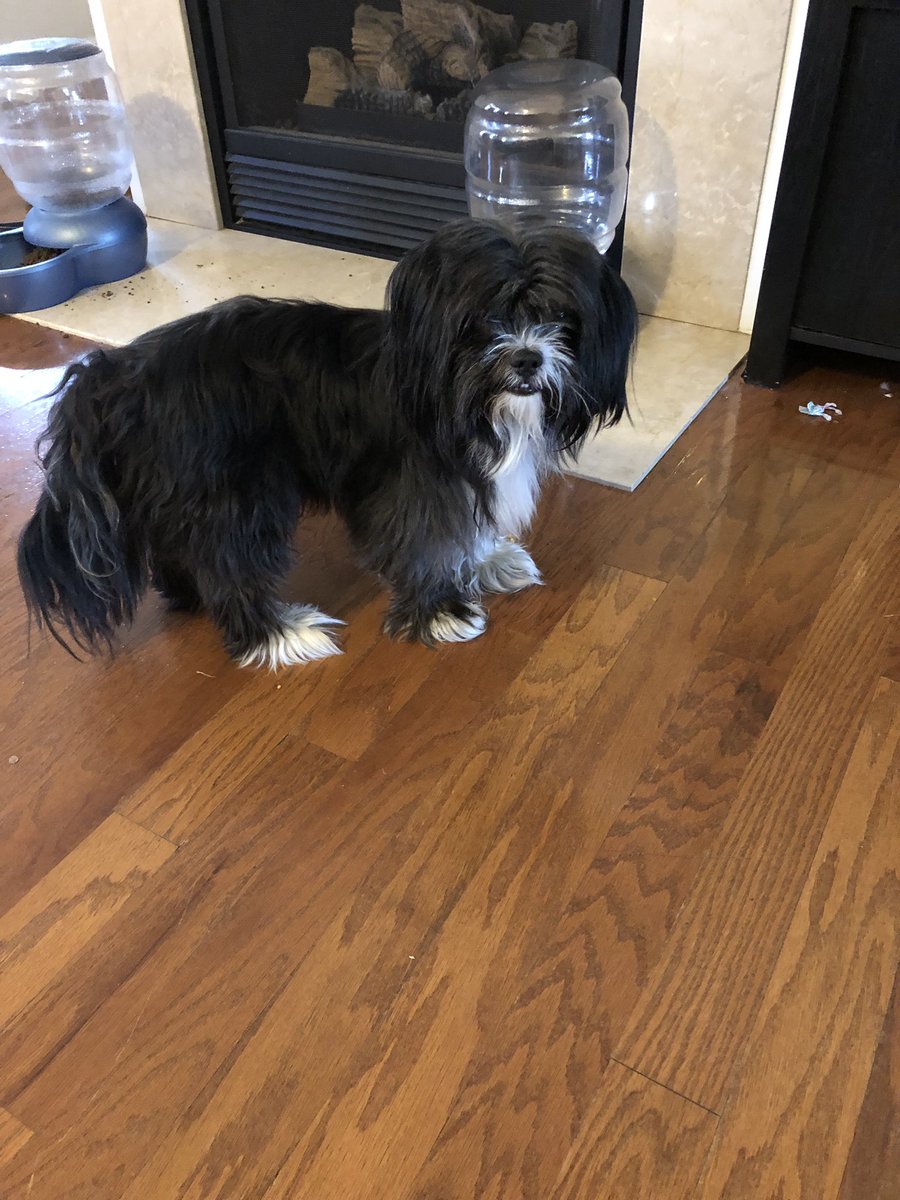 Evan West tweet media