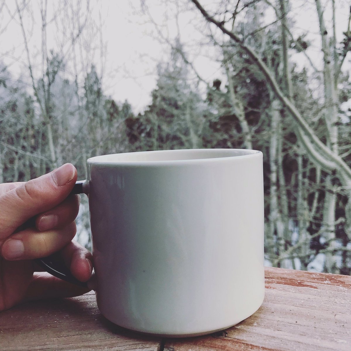 Starting every chilly morning with a cozy cup of tea while waiting for the afternoon sunshine. ☀️ #tea #pekoe #boulder #colorado #healthylifestyle #local
