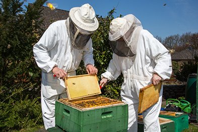 “The guide helps all #beekeepers — from hobbyist to commercial — establish and maintain the conditions necessary for healthy hives.” — Tammy Horn Potter, KY state apiarist. Check it out here: honeybeehealthcoalition.org/hivehealthbmps/