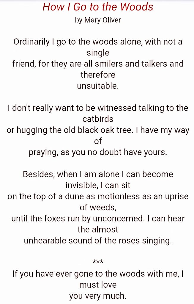 anabelroro's tweet photo. Grateful for your words. May you find peace Mary Oliver. https://t.co/zOVKq42Ny9