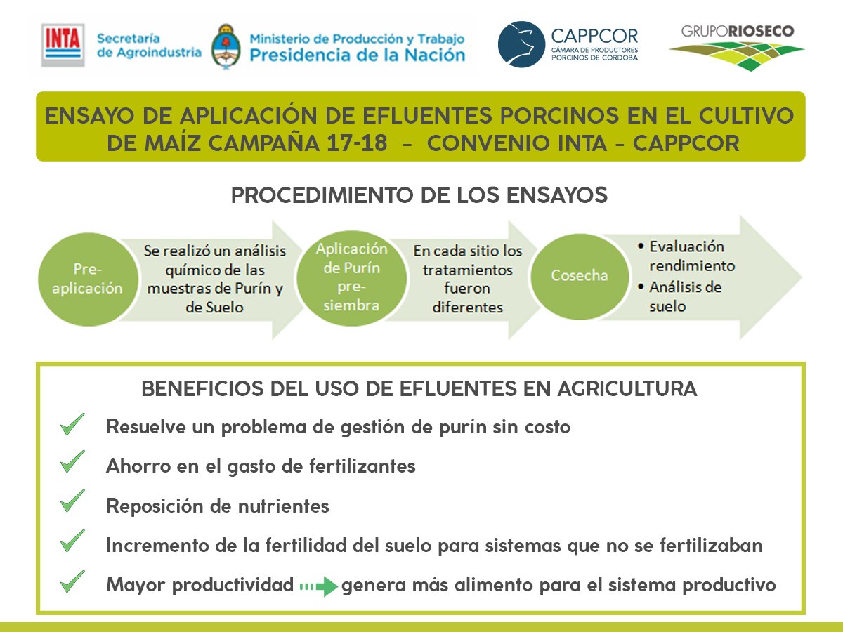 gruporioseco's tweet photo. Desde el inicio de la campaña 17-18 venimos realizando junto a @IntaCordoba y @cappcor1 diferentes ensayos de aplicación de efluentes porcinos en el cultivos de maíz. 
Compartimos un resumen del informe de estos ensayos de la #Campaña17_18
#Informe #Ensayos #INTA #CAPPCOR #GRS https://t.co/LeFax4xvHA