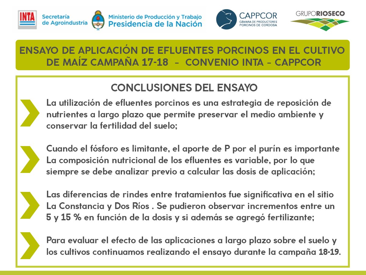 gruporioseco's tweet photo. Desde el inicio de la campaña 17-18 venimos realizando junto a @IntaCordoba y @cappcor1 diferentes ensayos de aplicación de efluentes porcinos en el cultivos de maíz. 
Compartimos un resumen del informe de estos ensayos de la #Campaña17_18
#Informe #Ensayos #INTA #CAPPCOR #GRS https://t.co/LeFax4xvHA