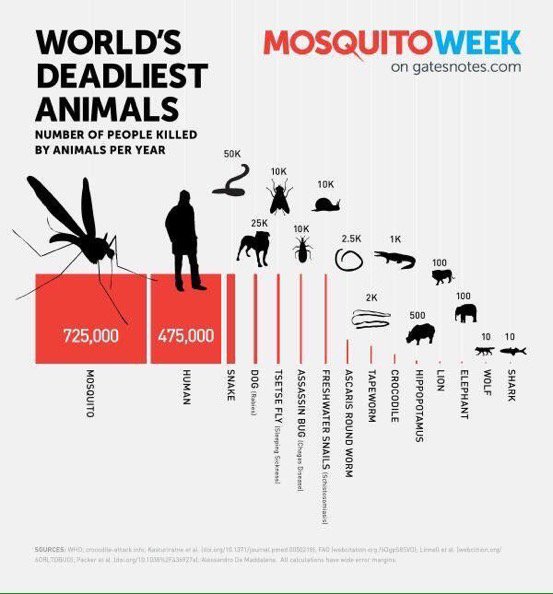 CurtisSChin's tweet photo. #EndMalaria.
People killed annually by:
#Shark ๐ฆ 10
Wolf ๐บ 10
Elephant ๐ 100
Crocodile ๐ 1000
Snail* ๐ 10,000
Dog ๐ 25,000
Snake ๐ 50,000
People ๐ฅ475,000
#Mosquito ๐ฅ 725,000 https://t.co/J0dPE3rS8C