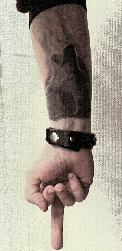 Nic2012's tweet image. Endlich ist die Fussballfreie &amp;amp; Drei90 Zeit vorbei! Informativer Podcast über Fussball und Wölfe! Ich alter Wolfsfan bin begeistert und sende Euch mein Lieblingstattoo dazu. #prowolf