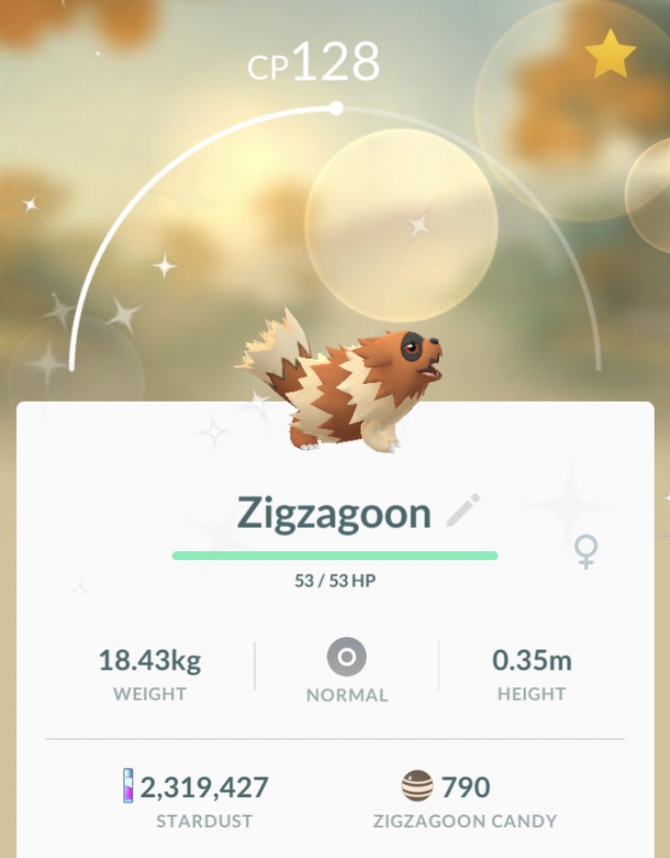 PokemonMum's tweet photo. ZIGAZIG AH!💃🏻
#HoennEvent #ShinyZigzagoon✨ https://t.co/aBxZ2jeFGs