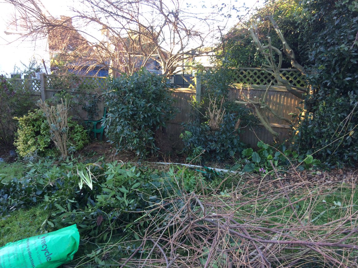 LarxGarden's tweet photo. Back under control #gardentidyup #westdorset https://t.co/yxdU5z7SJ4