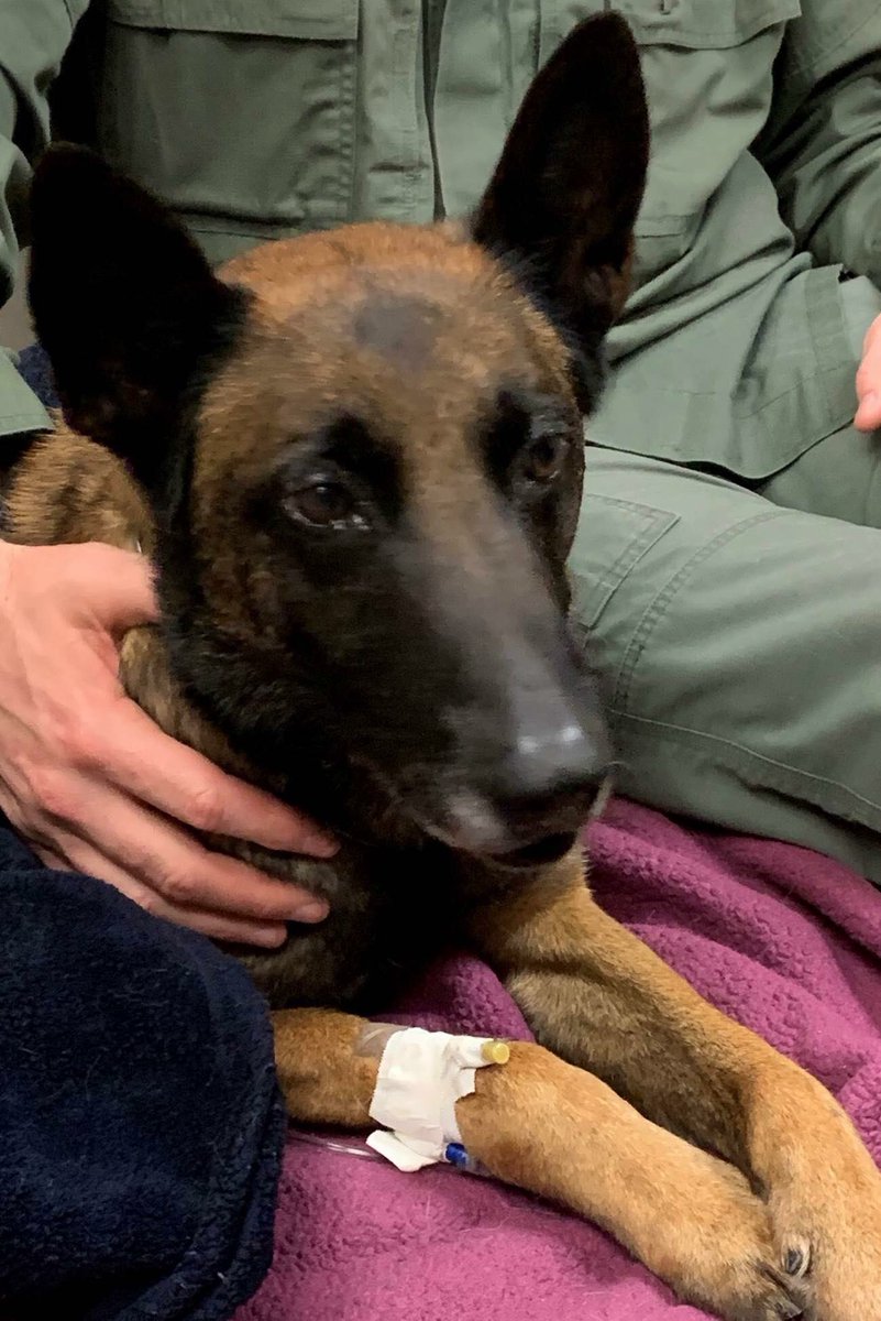 PlacerSheriff photo
