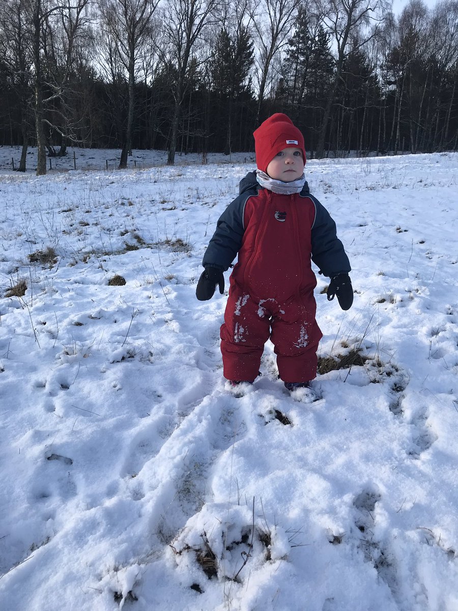 tabamountains's tweet photo. The snow has arrived in Aviemore! Make the most of it and get outside. #1000hrsoutside #scotwinter #outdoorbaby https://t.co/RpZiQNU1o0