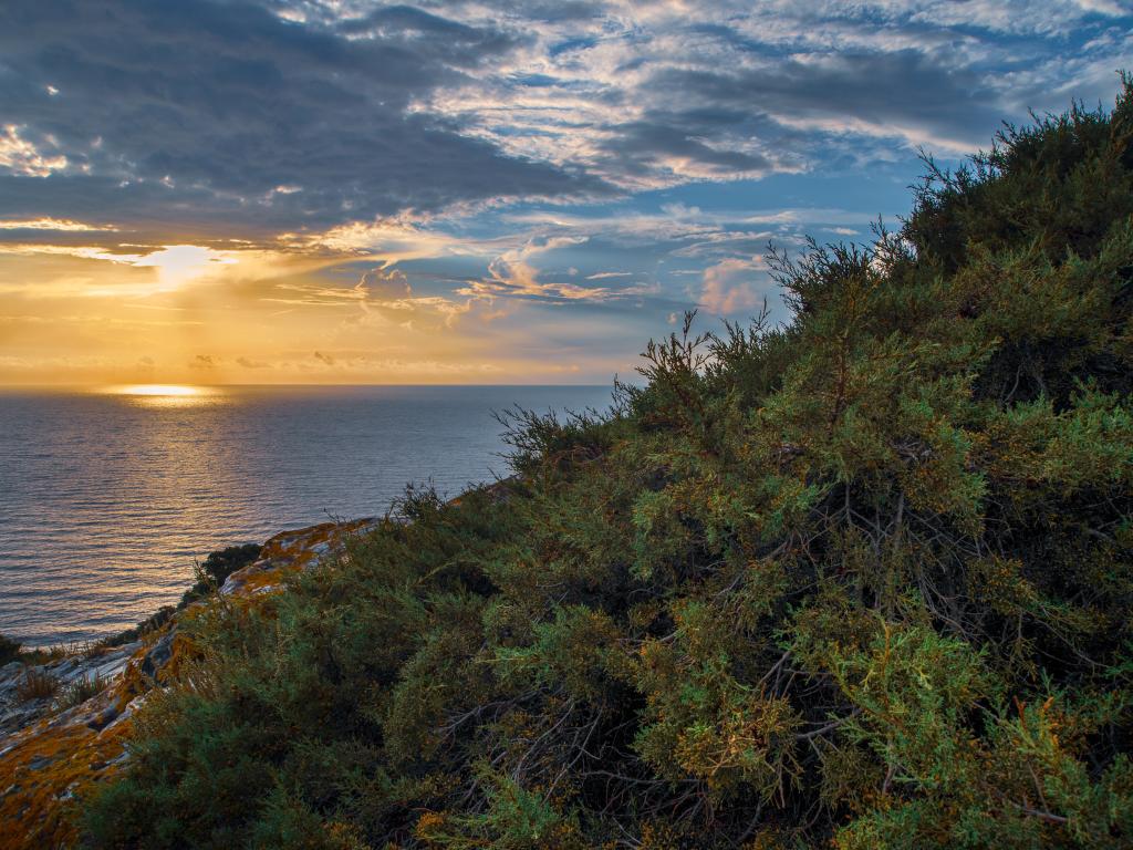 gavinobazzoni's tweet photo. I tramonti più belli sono quelli che incontri per caso.
Another day, another sunset on the wildest Sardinia
#seascape #sunswt #landscape
#tramonto #tramontando #nature
#photography #sardinia #sardegna
#wild #coastal https://t.co/8zwq8VGmBv