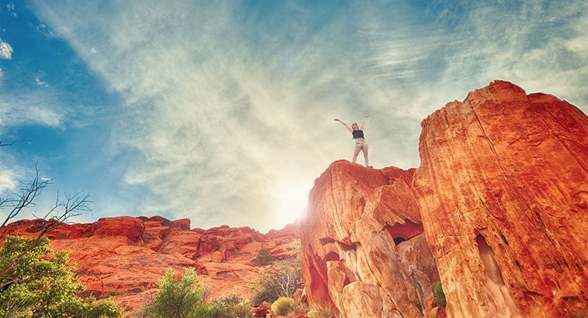 A Local Life tweet media