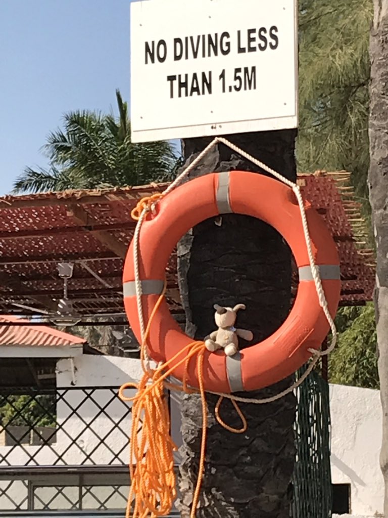 ATeambeach's tweet photo. Busy pool day... https://t.co/tAg8yJ3alT