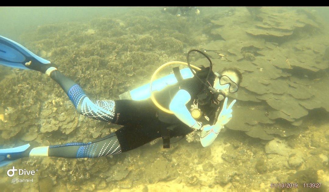 sannis_zoo's tweet image. #MarineBiology was not something I knew I wanted to do from a young age, in fact I only realised my passion for it a few years ago, and ever since my first taste I can&apos;t get enough of it!! Now, I can&apos;t believe #IGetPaidToDoThis 😍 @scienceirel #StudySTEM