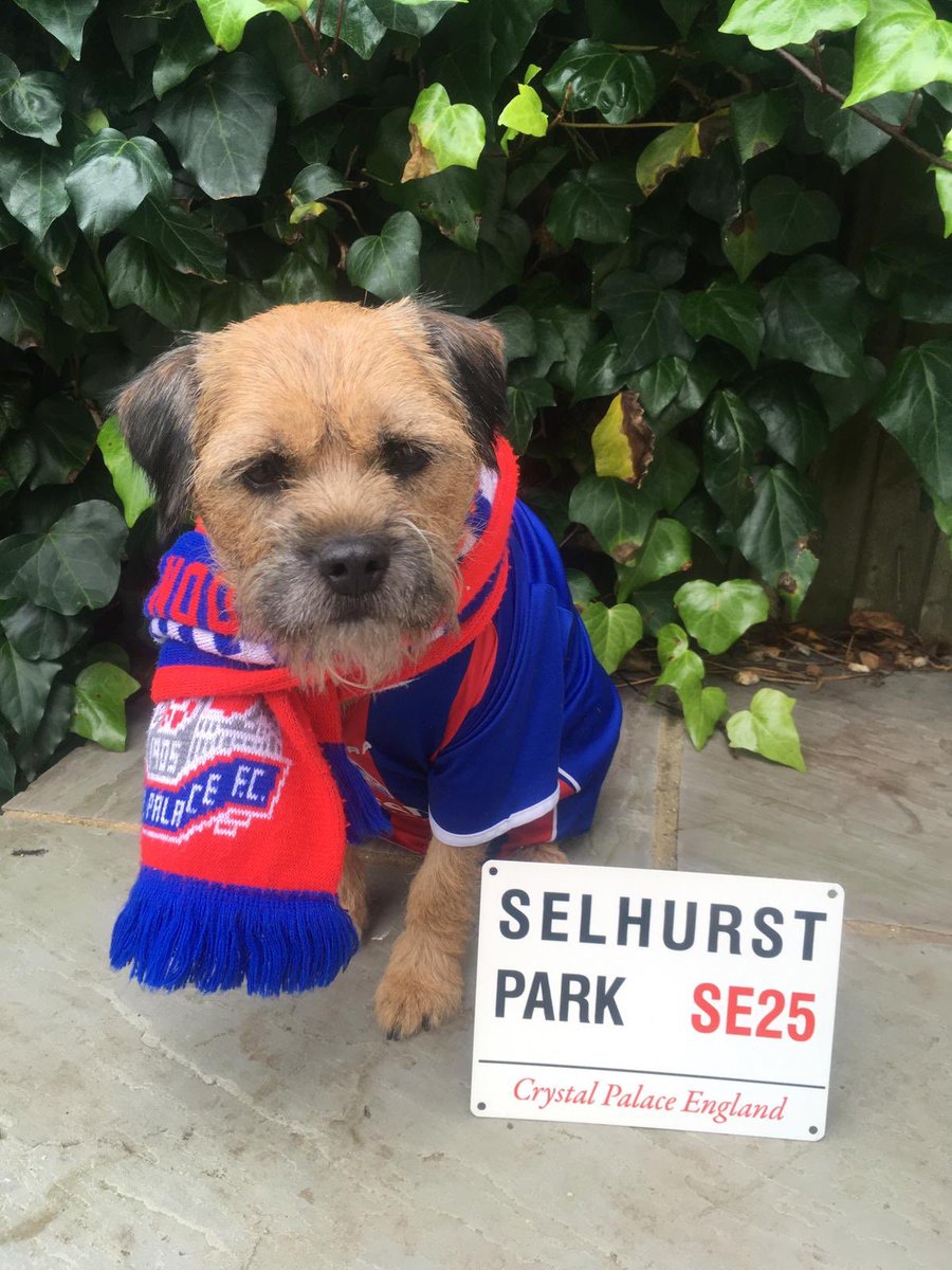 First signing of the January Transfer window, striker from Brazil Woofinnio ⚽️ <a href="/CPFC/">Crystal Palace F.C.</a>  🐶